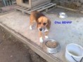 /album/rodicia/otec-benny-3-jpg/